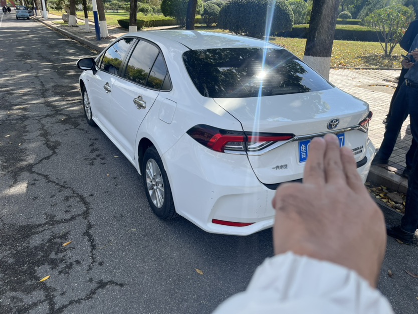 Toyota Corolla 2022 imagen de coche #5