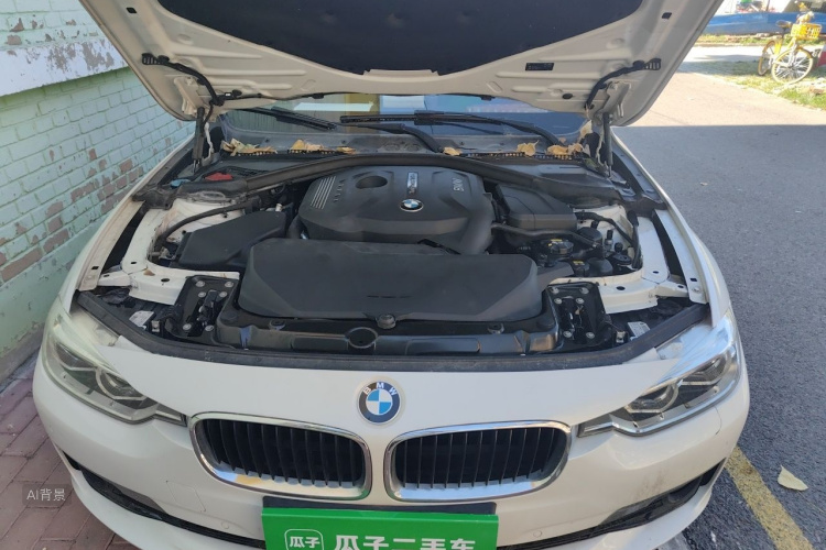 BMW 3 Series 2017 car image #22
