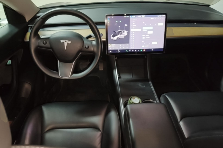 Tesla Model 3 2020 car image #10