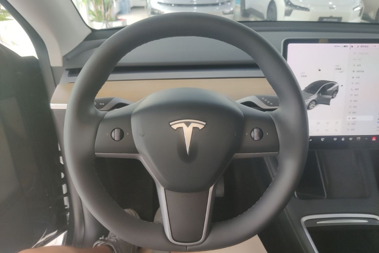 Tesla Model Y 2021 car image #11