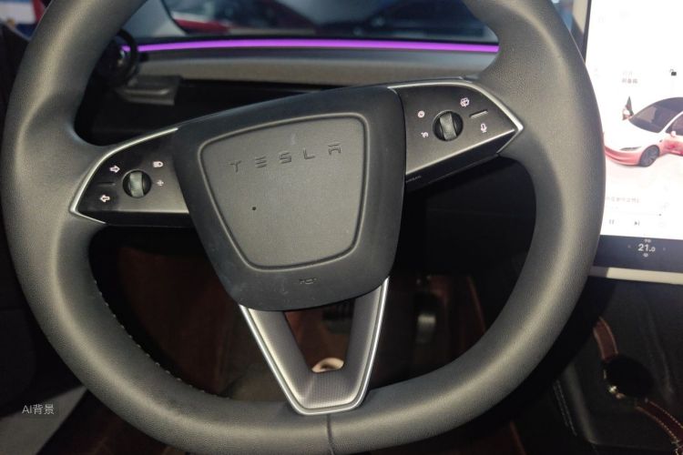 Tesla Model 3 2024 car image #10
