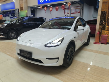 Tesla Model Y 2023 car image 