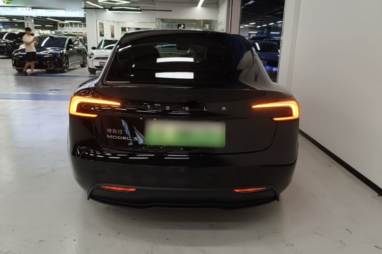 Tesla Model 3 2024 #6 Tesla Model 3 2024 car image #6