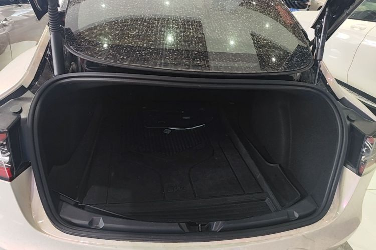 Tesla Model 3 2021 car image #19
