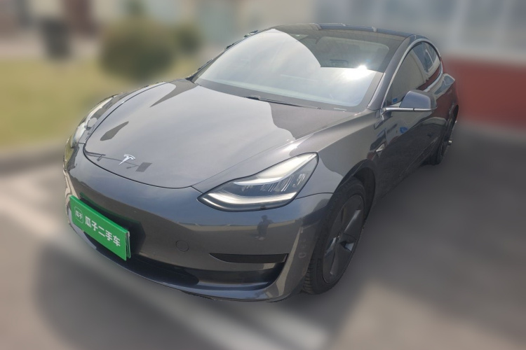 Tesla Model 3 2020 #2 Tesla Model 3 2020 car image #2