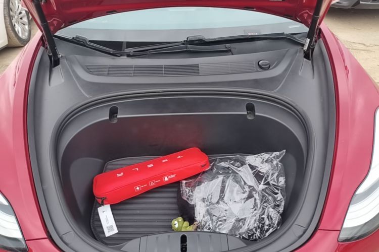 Tesla Model 3 2020 car image #20