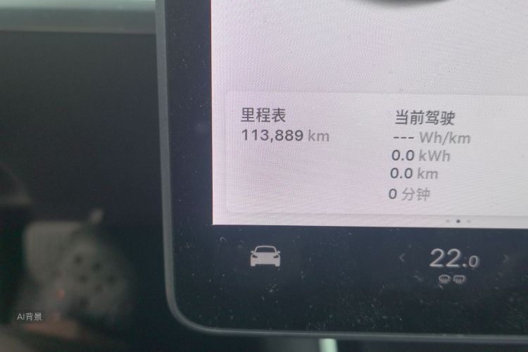 Tesla Model 3 2020 car image #14