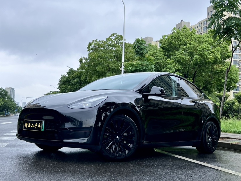 Tesla Model Y 2022 car image 