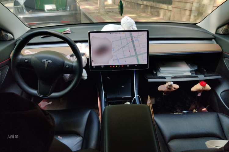 Tesla Model 3 2020 immagine di auto #11