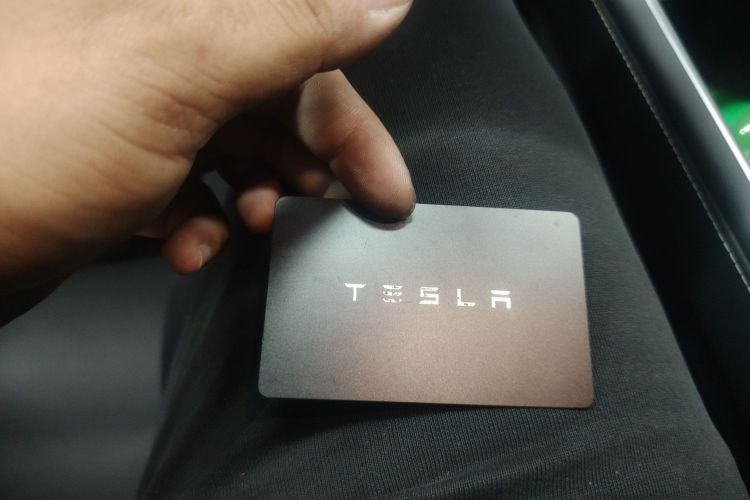 Tesla Model Y 2023 #14 Tesla Model Y 2023 car image #14
