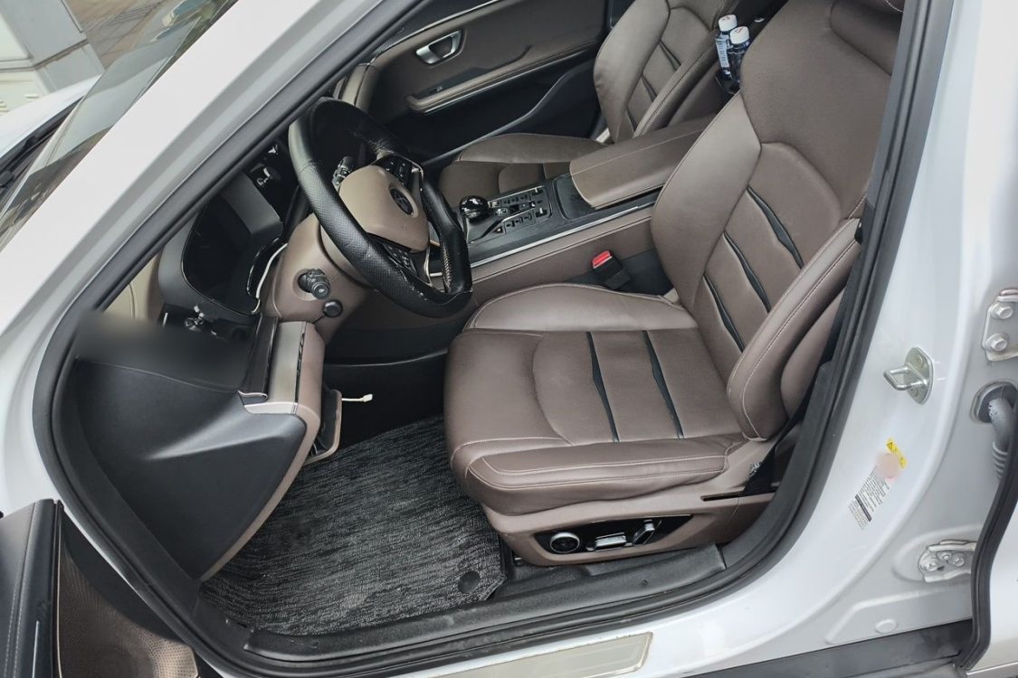 BYD Han 2021 #18 BYD Han 2021 imagen de coche #18