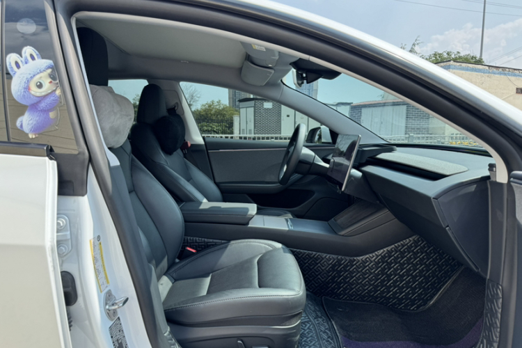 Tesla Model 3 2025 #20 Tesla Model 3 2025 car image #20