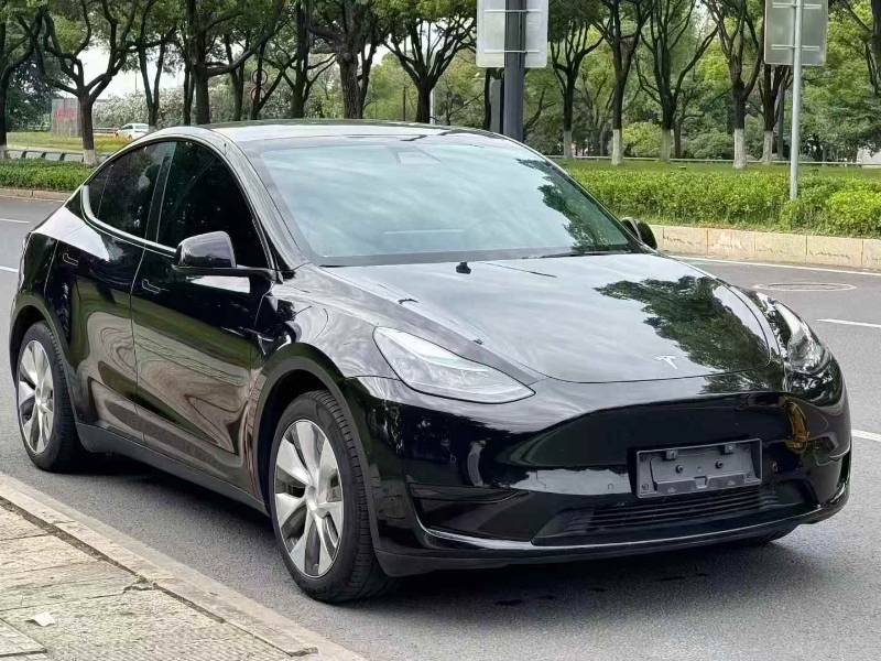 Tesla Model Y 2023 Tesla Model Y 2023 car image