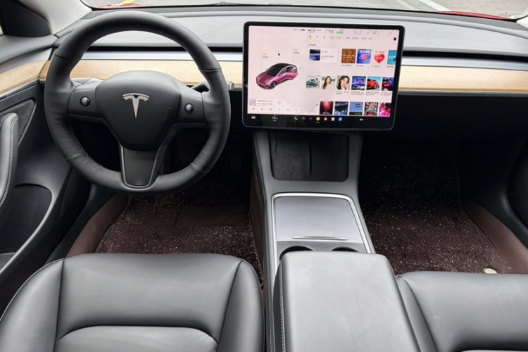 Tesla Model 3 2021 car image #14