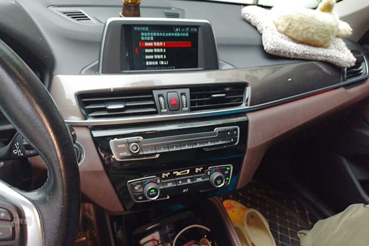 BMW X1 2018 car image #15