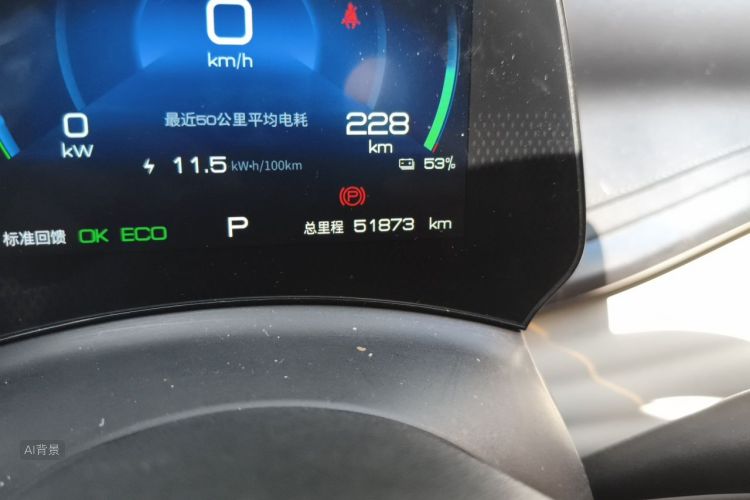 BYD Yuan Plus 2023 car image #14