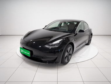 Tesla Model 3 2020 car image 