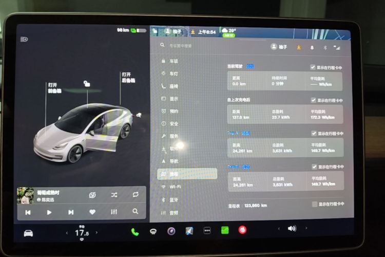 Tesla Model 3 2020 car image #12