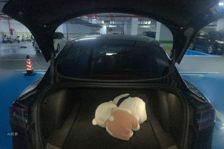 Tesla Model 3 2023 car image #21
