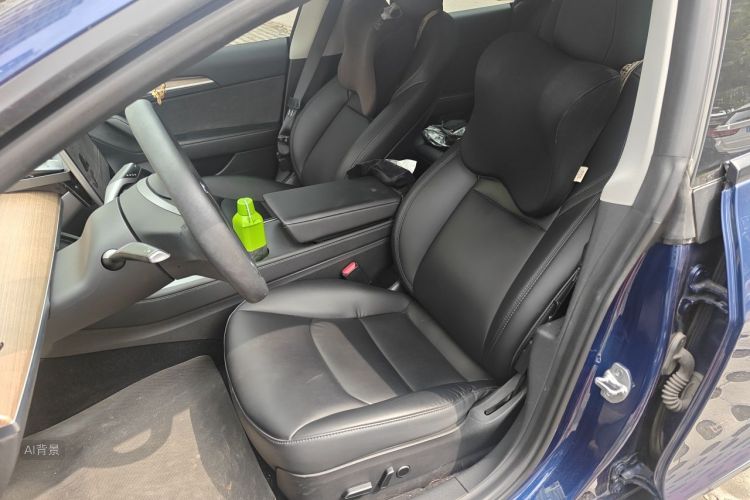 Tesla Model 3 2021 car image #17