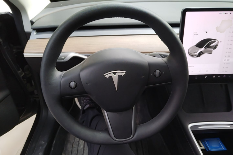 Tesla Model 3 2021 car image #11