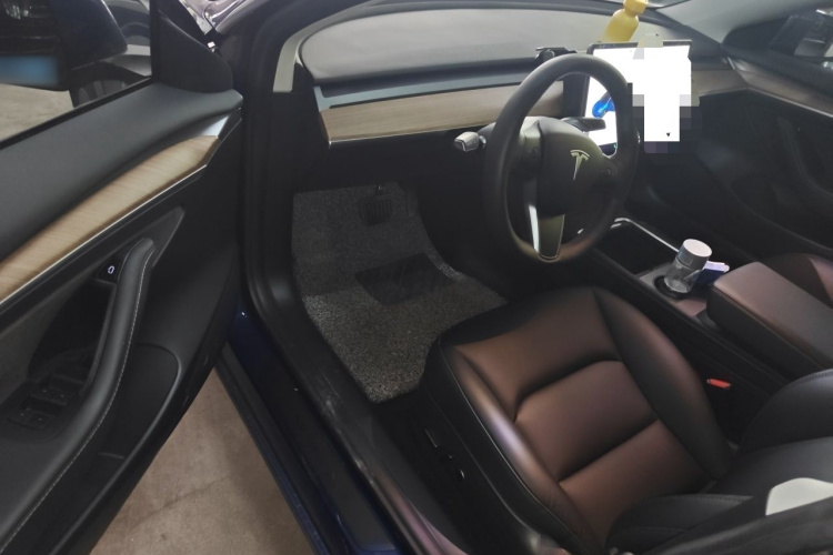 Tesla Model 3 2021 car image #13