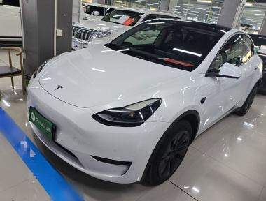 Tesla Model Y 2023 Tesla Model Y 2023 car image