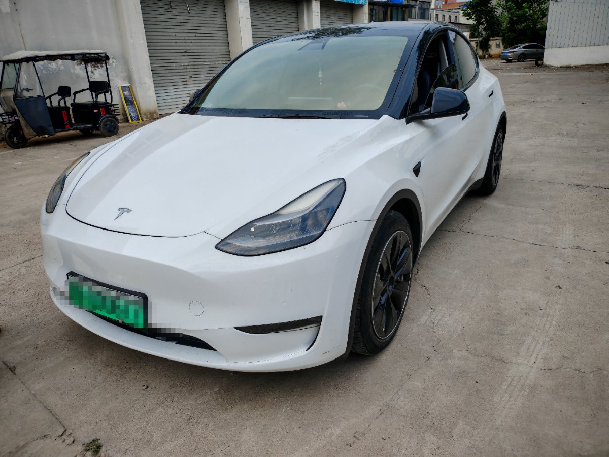 Tesla Model Y 2021 Tesla Model Y 2021 car image
