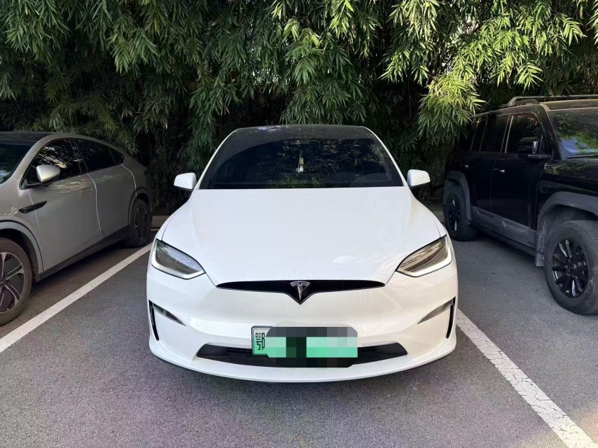 Tesla Model X 2023 immagine di auto 