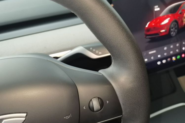 Tesla Model Y 2023 car image #14