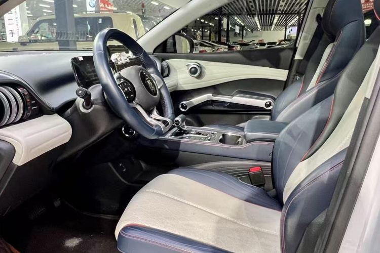 BYD Yuan Plus 2022 car image #9