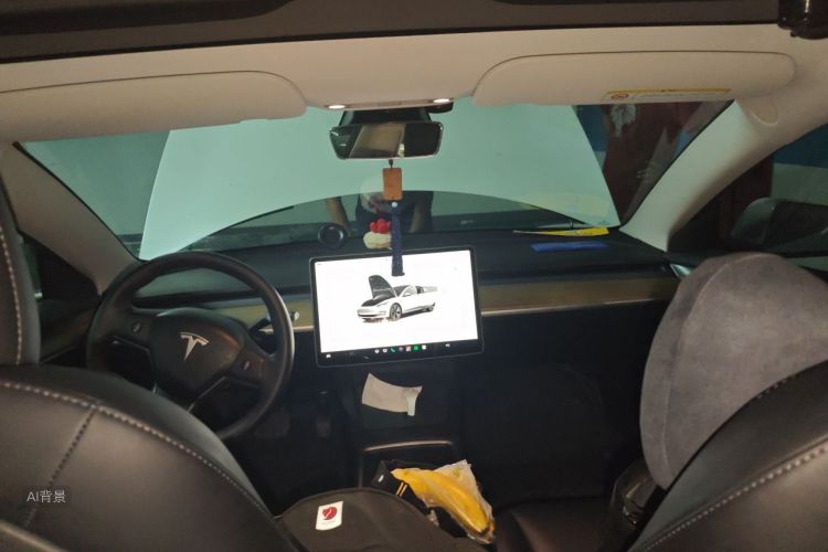 Tesla Model 3 2023 car image #20