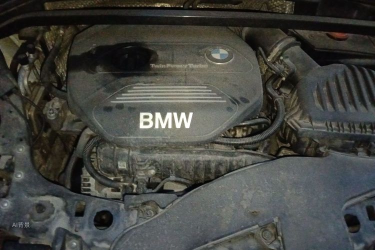 BMW X1 2016 car image #22