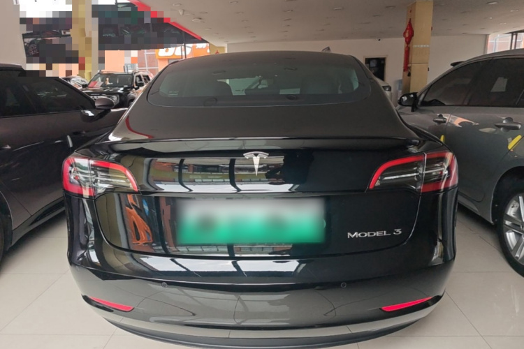 Tesla Model 3 2021 imagem de carro #6