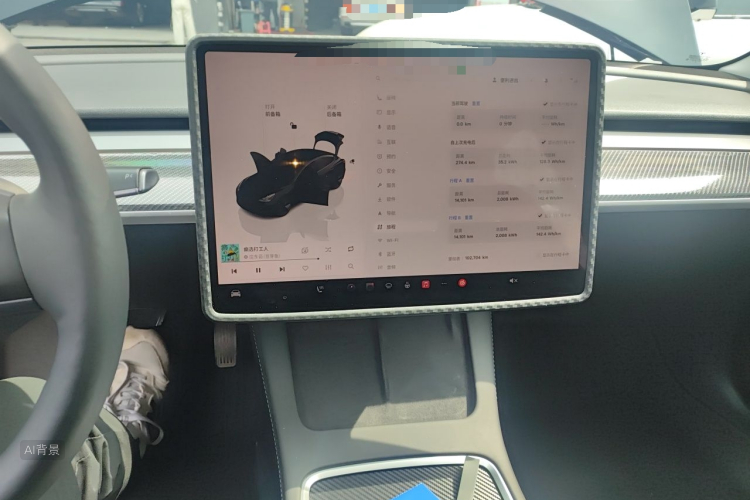 Tesla Model 3 2022 car image #15