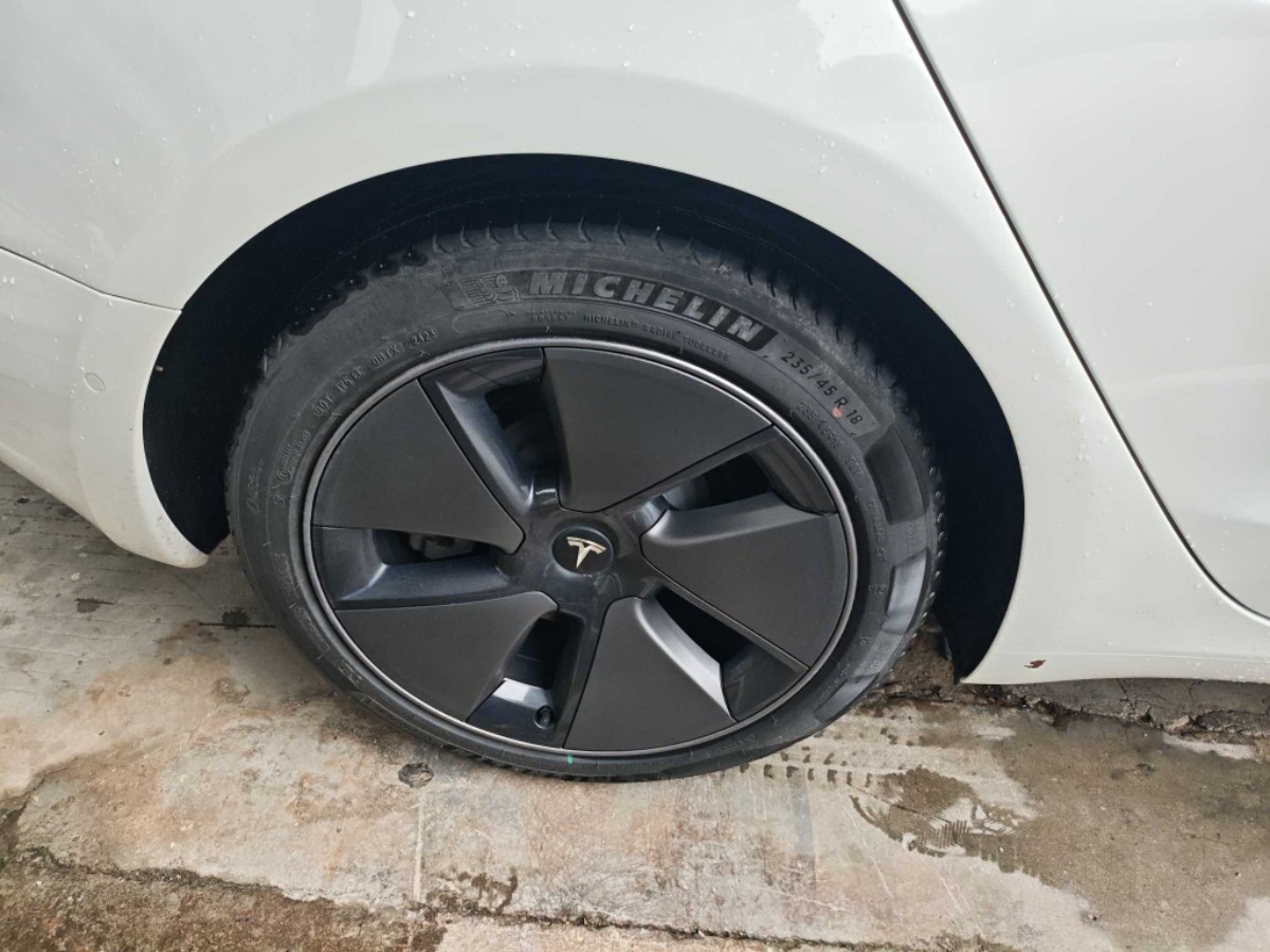 Tesla Model 3 2023 car image #8