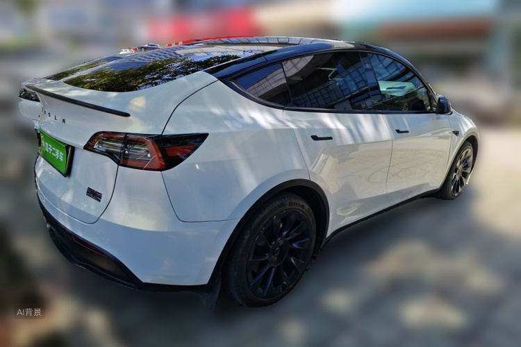 Tesla Model Y 2023 car image #7