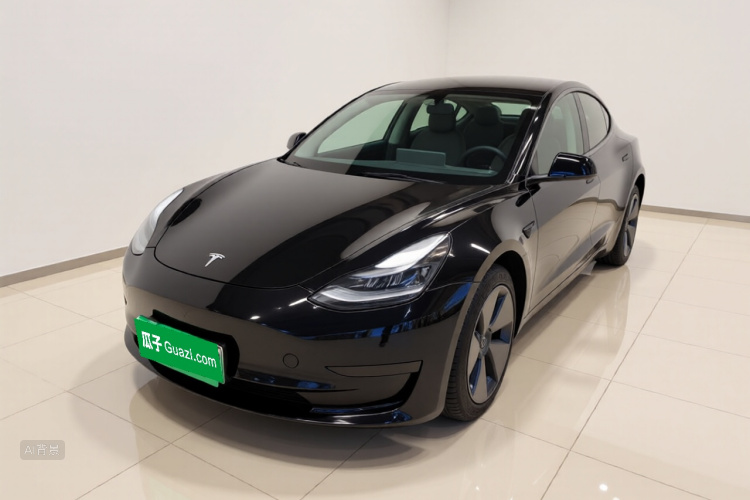 Tesla Model 3 2022 immagine di auto #2