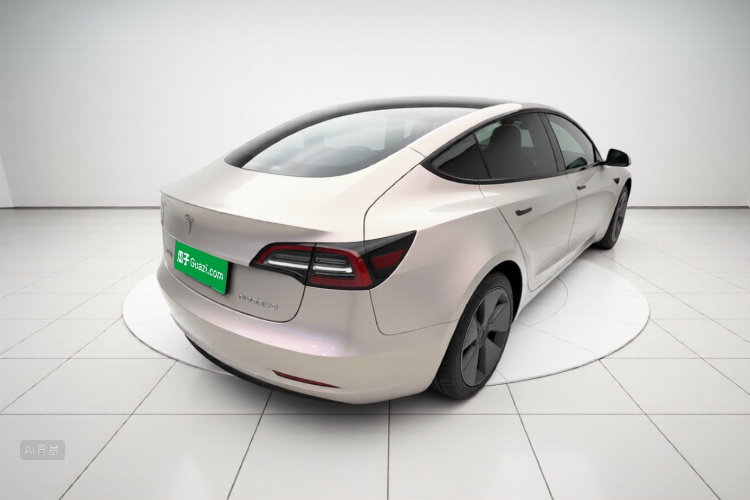 Tesla Model 3 2021 car image #7