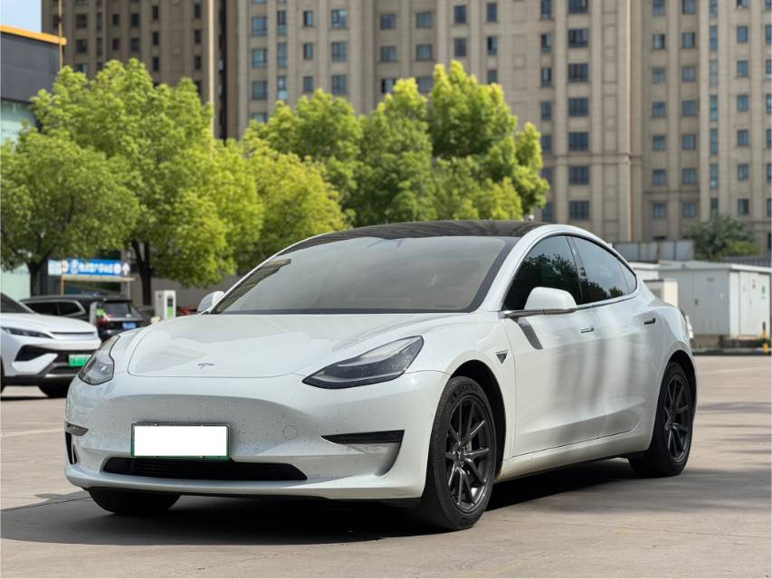 Tesla Model 3 2020 car image 