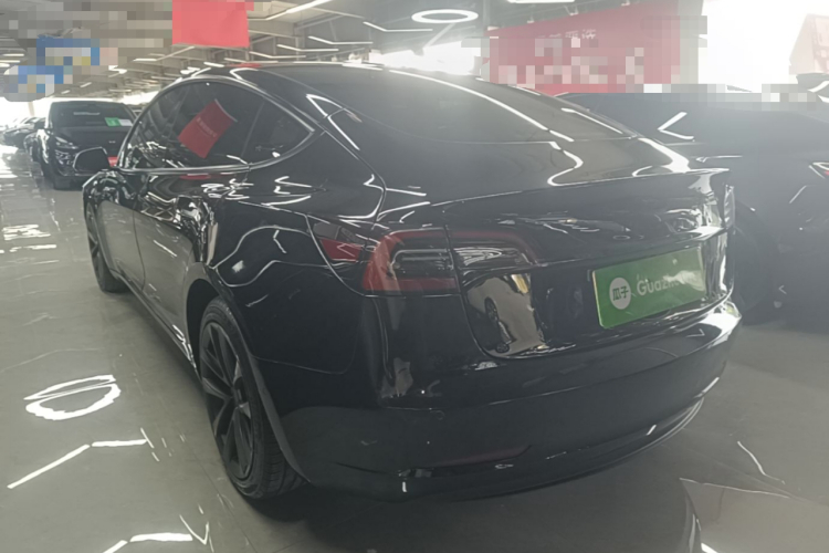 Tesla Model 3 2021 #5 Tesla Model 3 2021 car image #5