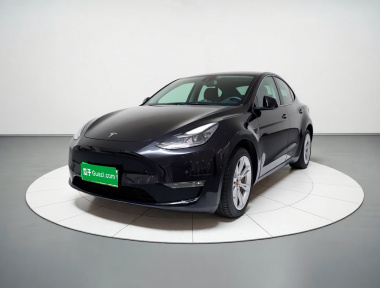 Tesla Model Y 2021 Tesla Model Y 2021 car image