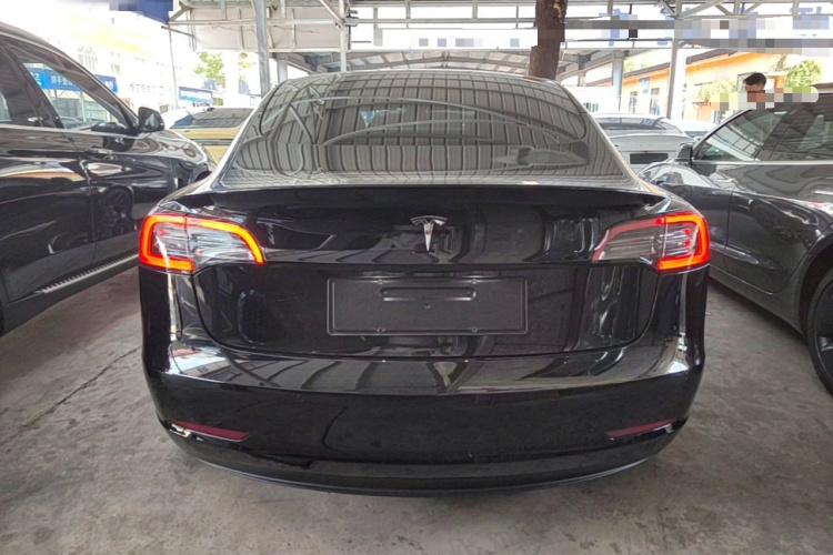 Tesla Model 3 2021 #6 Tesla Model 3 2021 car image #6