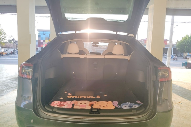 Tesla Model Y 2024 #19 Tesla Model Y 2024 car image #19