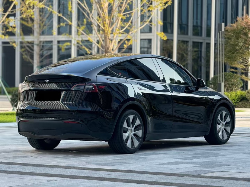Tesla Model Y 2021 car image #3