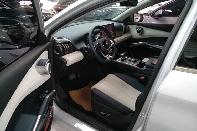 BYD Yuan Plus 2023 car image #19