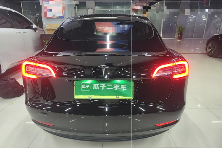 Tesla Model 3 2021 immagine di auto #6