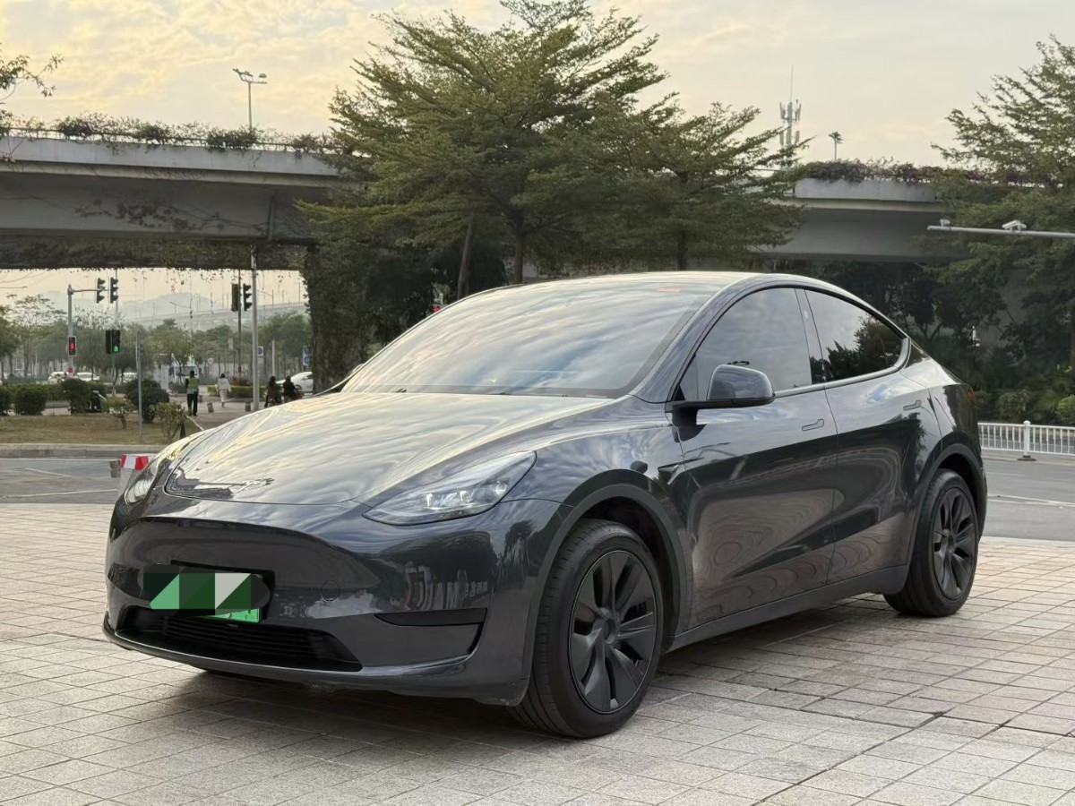 Tesla Model Y 2024 car image 