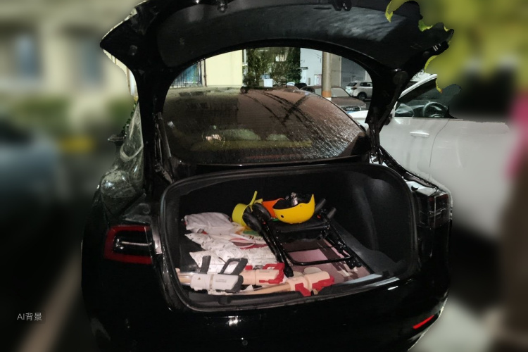 Tesla Model 3 2020 car image #21