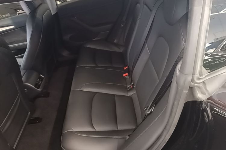 Tesla Model 3 2021 #17 Tesla Model 3 2021 car image #17